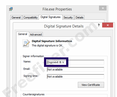 Screenshot of the Diginext B.V. certificate